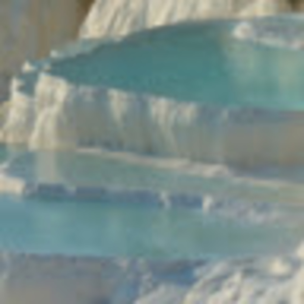 Meet your Posher, Paige